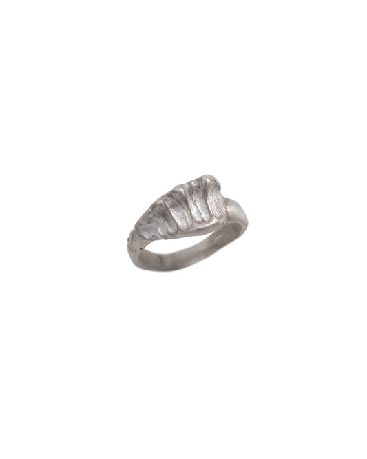 Fundo do Mar Ring