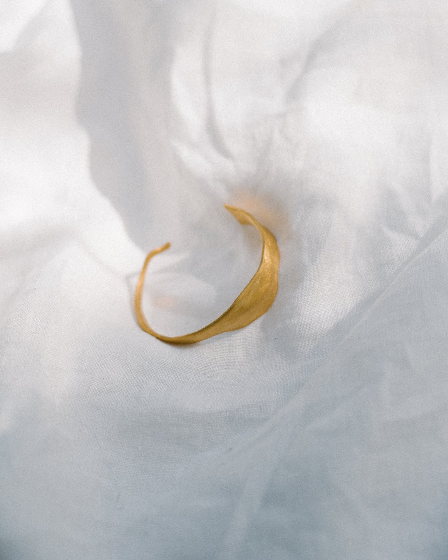 Canto de Pássaro Bracelet