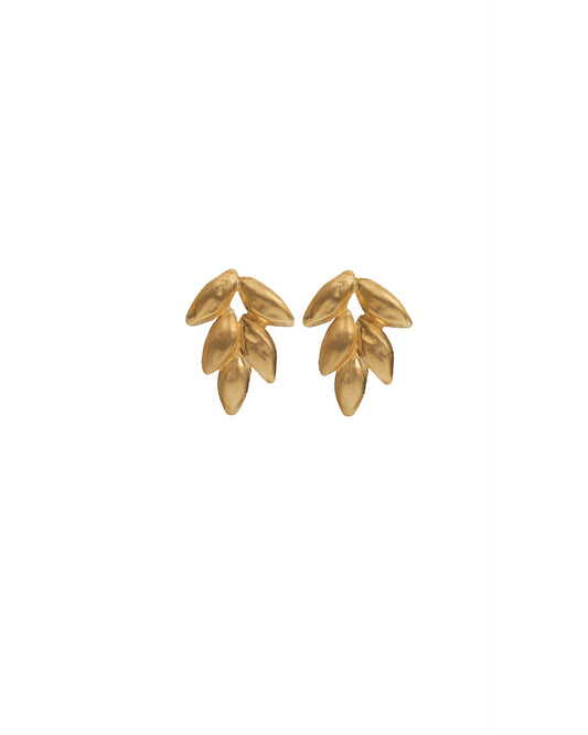 Aimi Earrings