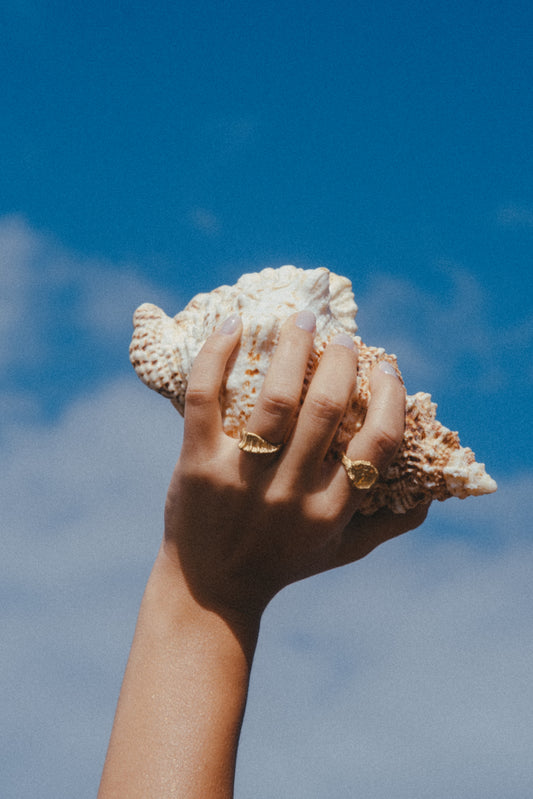 Fundo do Mar Ring