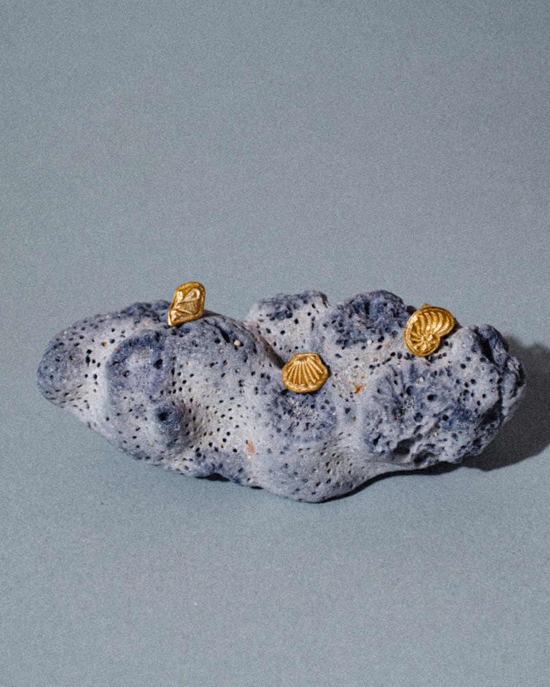 Crustáceos Earrings