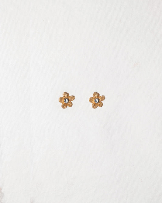 Botão Earrings