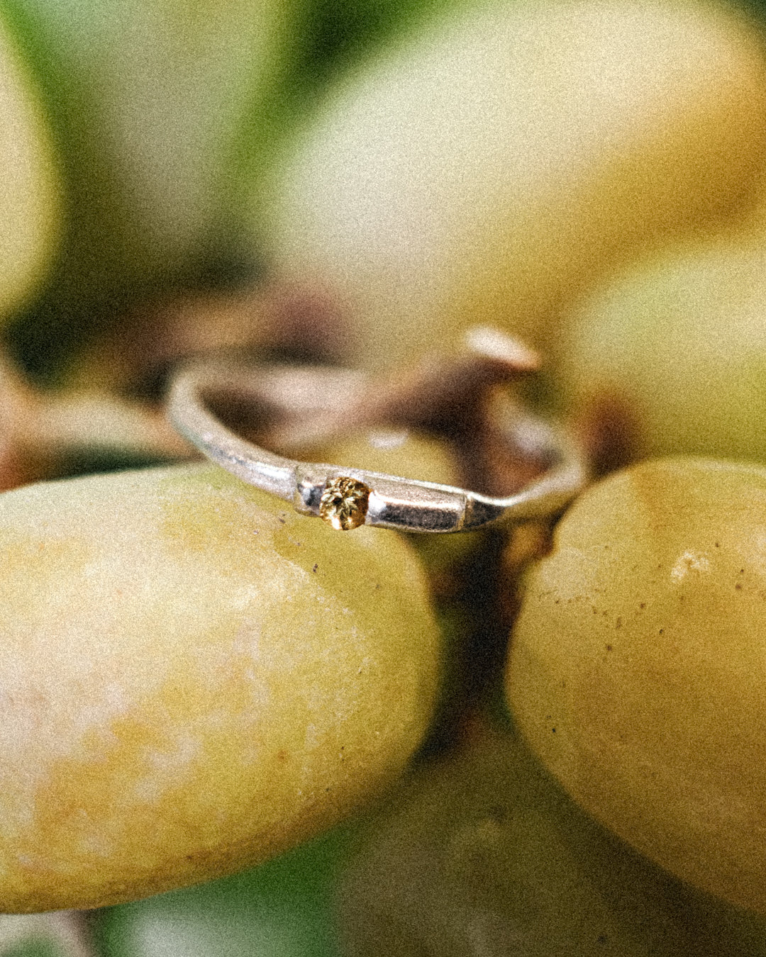Baunilha Ring