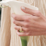 Aceito ring