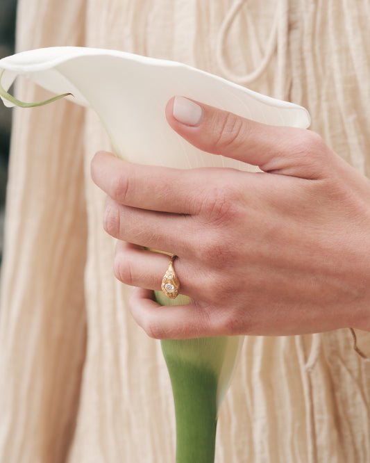 Aceito ring