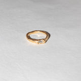 Daucus Ring