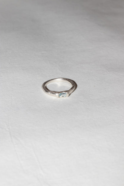 Daucus Ring