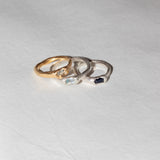 Daucus Ring