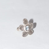 Ramo Ring