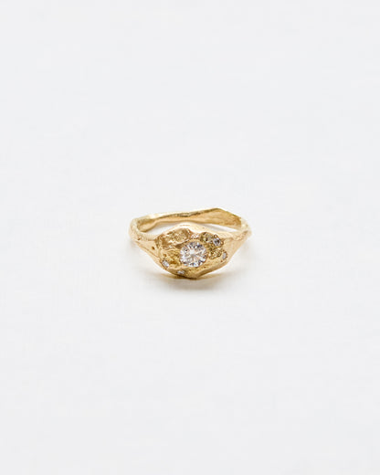 Aceito ring