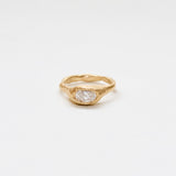 Sim ring
