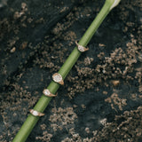 Aceito ring