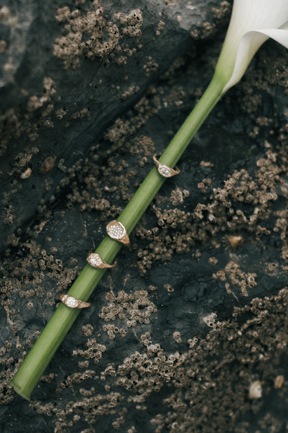 Aceito ring