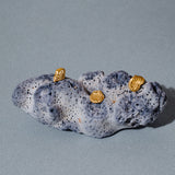 Crustáceos Earrings