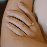 Pintassilgo Ring