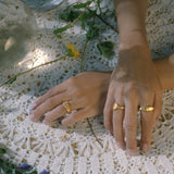 Pintassilgo Ring