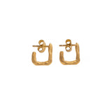 Salgado Earrings