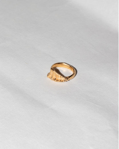 Fundo do Mar Ring