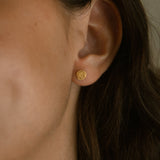 Crustáceos Earrings