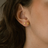Crustáceos Earrings