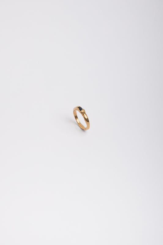 Daucus-Ring